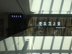 -老板恋上鱼(恒隆广场店)