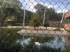 -太原动物园