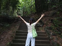 -凤栖山
