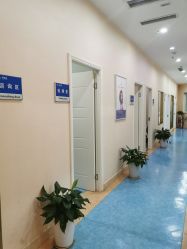 -碧莲盛·不剃发植发