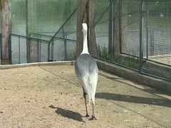 -盐城丹顶鹤湿地生态旅游区