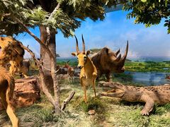 -国家自然博物馆