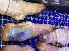 -青蓬蒸汽海鲜·深圳老字号·团建聚会(壹方城店)