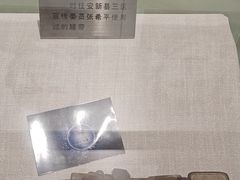 -白洋淀景区