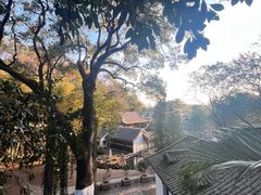 -岳麓山风景名胜区