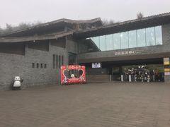 -都江堰中华大熊猫苑