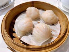 春满园虾饺-春满园·早茶·粤菜·宴会(粤海店)