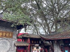 -黄龙溪古镇