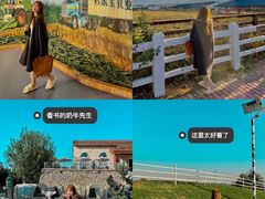 -君乐宝优致牧场