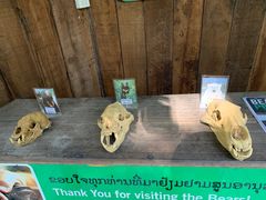 -关西瀑布