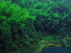 -长沙黑麋峰国家森林公园