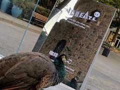 -J Create城市露营咖啡·简餐·宠物(上海动物园店)