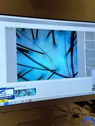 -史云逊养发护发