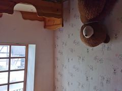-金山农民画村-枫泾波兰倒置屋