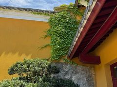 -普陀山风景区-佛顶山