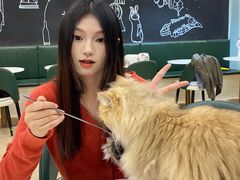 -安格丽娜·狗咖·猫咖羊驼咖(春熙路百盛商场店)