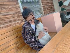 -喵屿·大理花园猫咖