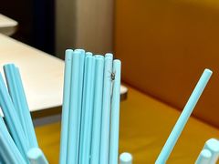 -小杨生煎(东方明珠店)