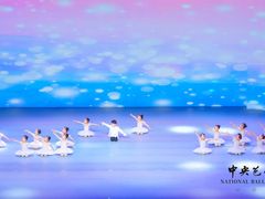 -中央芭蕾舞团·中芭艺蕾(酒仙桥明星校区)