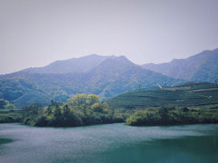 -龙坞茶村