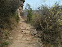 -五龙洞国家森林公园