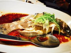 清蒸老虎斑-徐记海鲜(大明宫|北二环店)