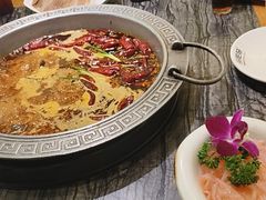 -杨肥肠火锅大排档(火车站花园店)