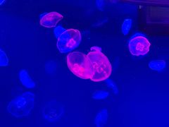 -多彩贵州城极地海洋世界