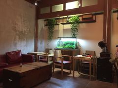 -百好乐宠物友好餐厅(朝外大街店)