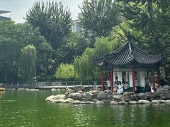 -莲湖公园