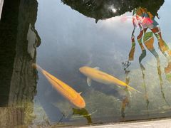 -西安市广仁寺