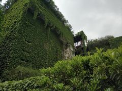 -澳珀食堂