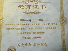 -博特宠物医院24h犬猫全科.骨科·异宠