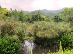 -腾冲洞山温泉村