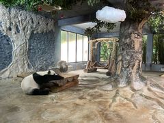 -海南热带野生动植物园