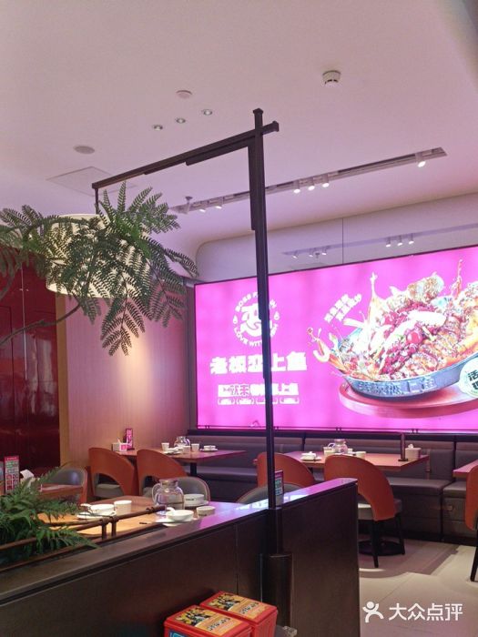 老板恋上鱼(恒隆广场店)图片