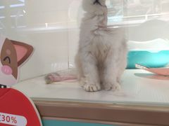 -龟与熊猫宠物公园(南坪店)
