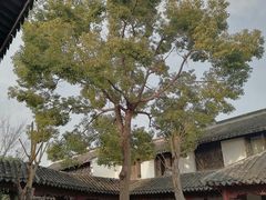 -檀园