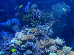 -欢乐海岸海洋奇梦馆