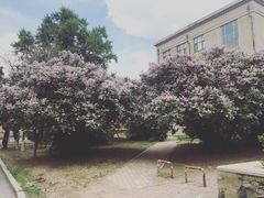 -东北大学(南湖校区)