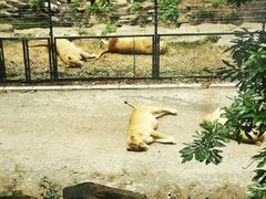 -大连森林动物园