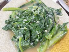 蒜蓉油麦菜-贞姨美食·老字号海鲜大排档