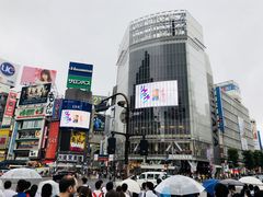 -涩谷区