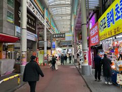 -西归浦每天偶来市场