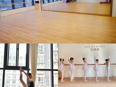 -北京红舞鞋少儿形体舞蹈教育(高新融侨城校区)