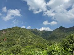 -四明山国家森林公园