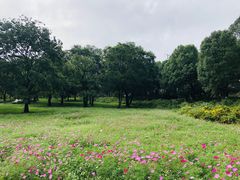 -秀丽东方