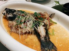 -宣和苑(华侨新村店)