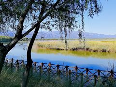 -野鸭湖国家湿地公园