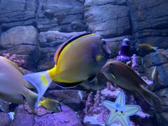 -成都浩海立方海洋公园